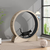 Cat Silent Treadmill Roller Машқи аз даст додани вазн